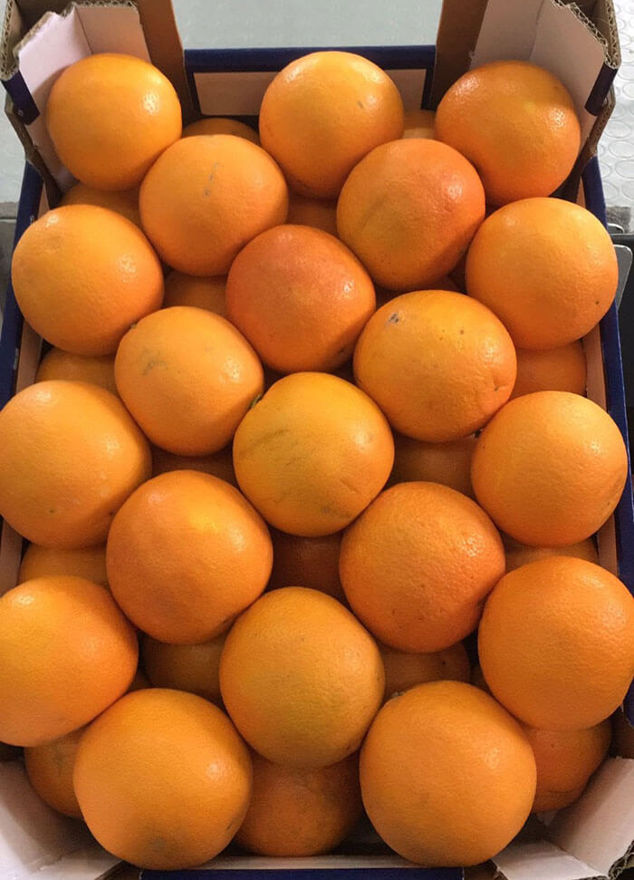 Tarocco Orange