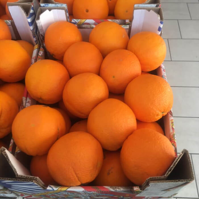 Navel Orange